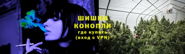 альфа пвп Елизово